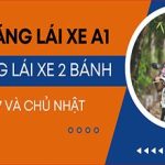 z5622728377751_72d5282d1fe3f4fbbe18f44041dc92df