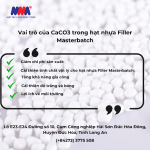 luu-ban-nhap-tu-dong-6695-1