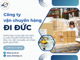 Gửi Hàng Đi Đức: VietCargo – Giải Pháp Vận Chuyển Toàn Diện Và An Toàn Cho Mọi Doanh Nghiệp