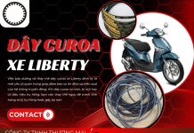 Dây curoa xe Liberty