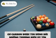 Tại Sao Cơ Carbon Đang Trở Thành Xu Hướng Đầu Tư Hấp Dẫn Hiện Nay?