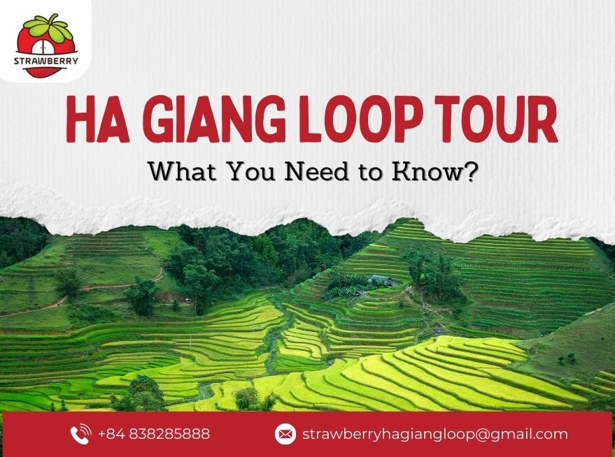 Ha Giang Loop Tour