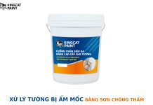 Giải pháp cho tường bị ẩm mốc hiệu quả, bền vững cho mọi công trình